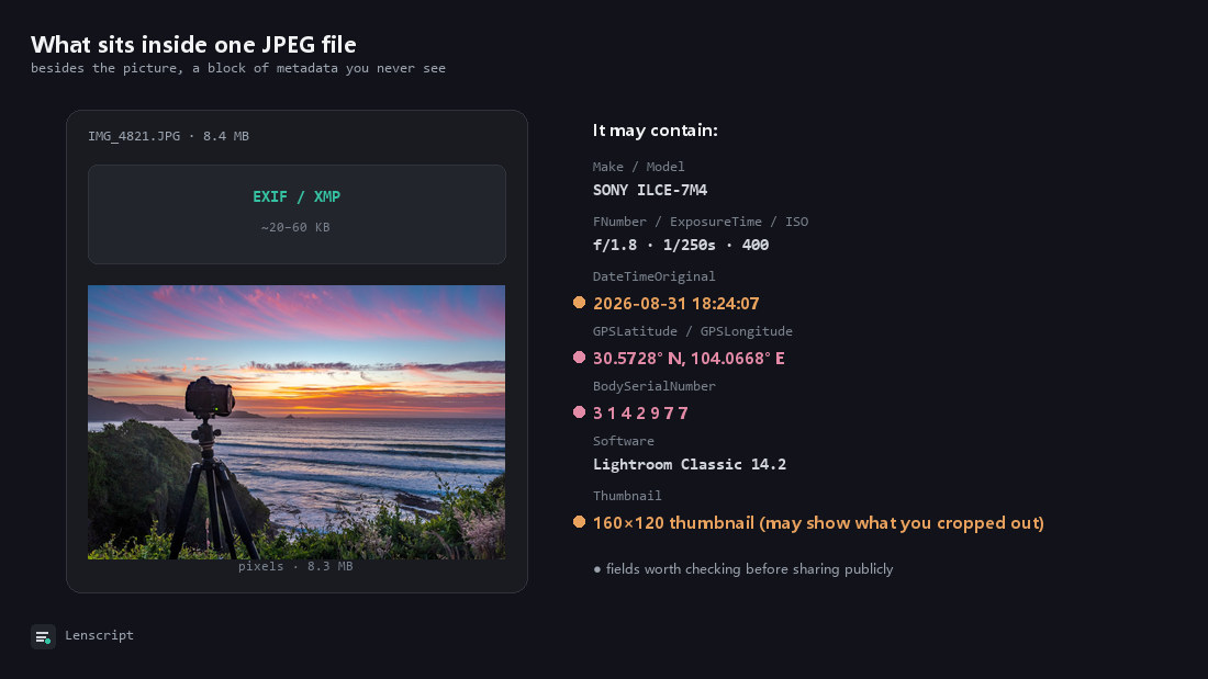 A JPEG file laid open: a small EXIF/XMP block on top, the pixels below; on the right a list of fields — body, settings, capture time, GPS coordinates, serial number, software, thumbnail — with time, coordinates, serial and thumbnail dotted as worth checking