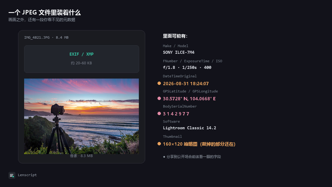 一个 JPEG 文件的示意：顶部一小块 EXIF/XMP 元数据，下面是占绝大部分的像素；右侧列出机型、参数、拍摄时间、GPS 坐标、机身序列号、软件、缩略图等字段，其中时间、坐标、序列号、缩略图用点标出