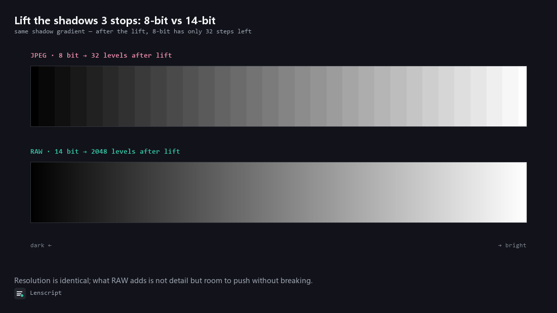 Two black-to-white gradients: the top one in 32 visible steps labelled JPEG 8-bit after a lift, the bottom one smooth in 2048 levels labelled RAW 14-bit after a lift