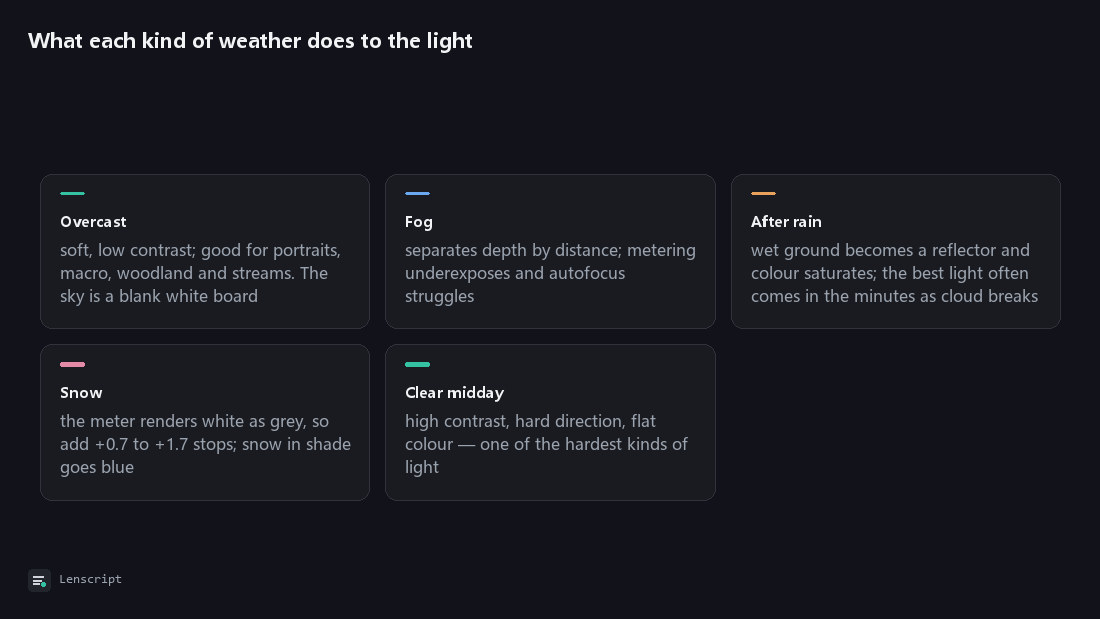 What each kind of weather does to the light: Overcast, Fog, After rain, Snow, Clear midday