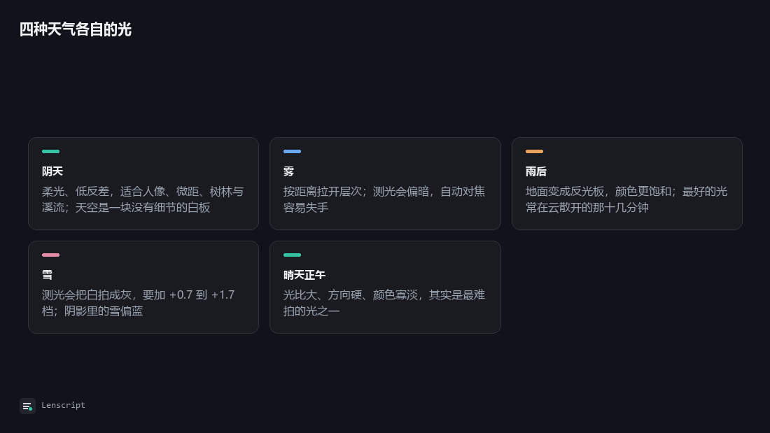 四种天气各自的光：阴天、雾、雨后、雪、晴天正午