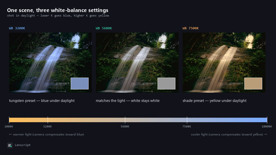The same waterfall shot in daylight with white balance set to 3200K, 5600K and 7500K: blue, neutral and yellow, each with a grey card showing the cast