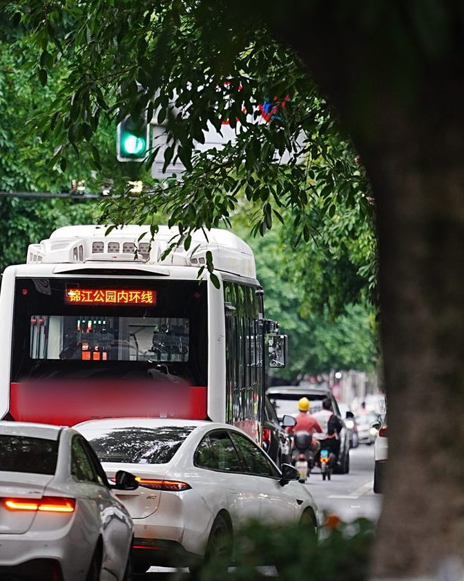 树荫下的街道与公交车，处理前的原始画面